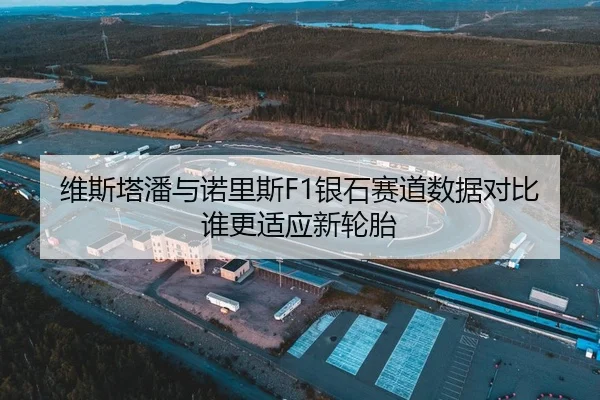 维斯塔潘与诺里斯F1银石赛道数据对比谁更适应新轮胎