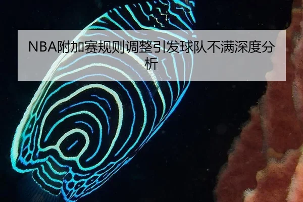 NBA附加赛规则调整引发球队不满深度分析