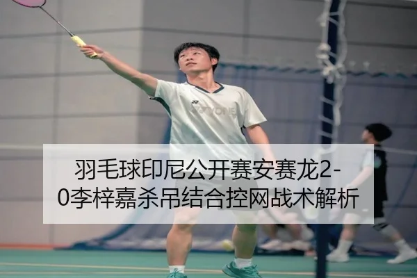 yu-mao-qiu-yin-ni-gong-kai-sai-an-sai-long-li-zi-jia-sha-diao-jie-he-kong-wang-zhan-shu-jie-xi-3-383.jpg